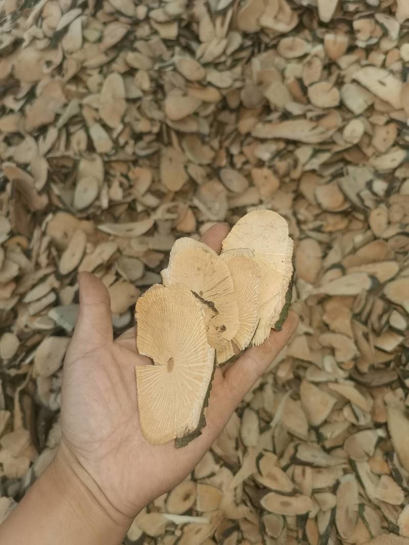 小花清风藤，贵州特产