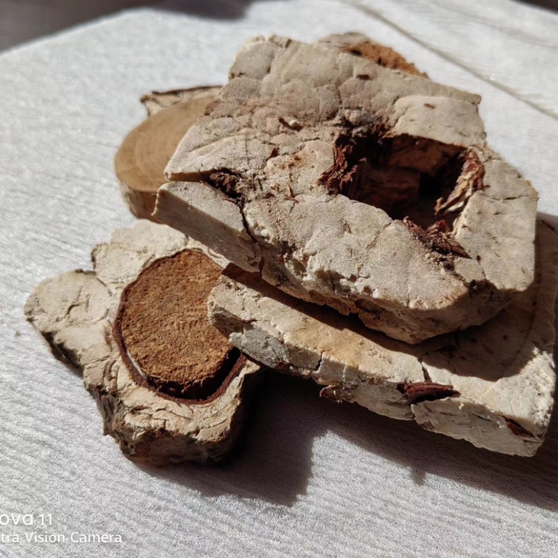 玉林茯神块产地直发保质保量欢迎各地老板选购