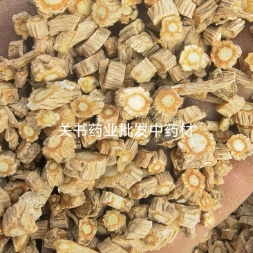 防风河北子播货新货【关书药业】大统批发中药材