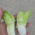 四川广汉精品儿菜
