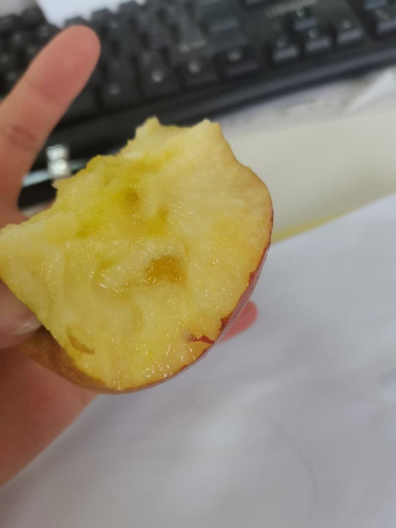 黄心富士