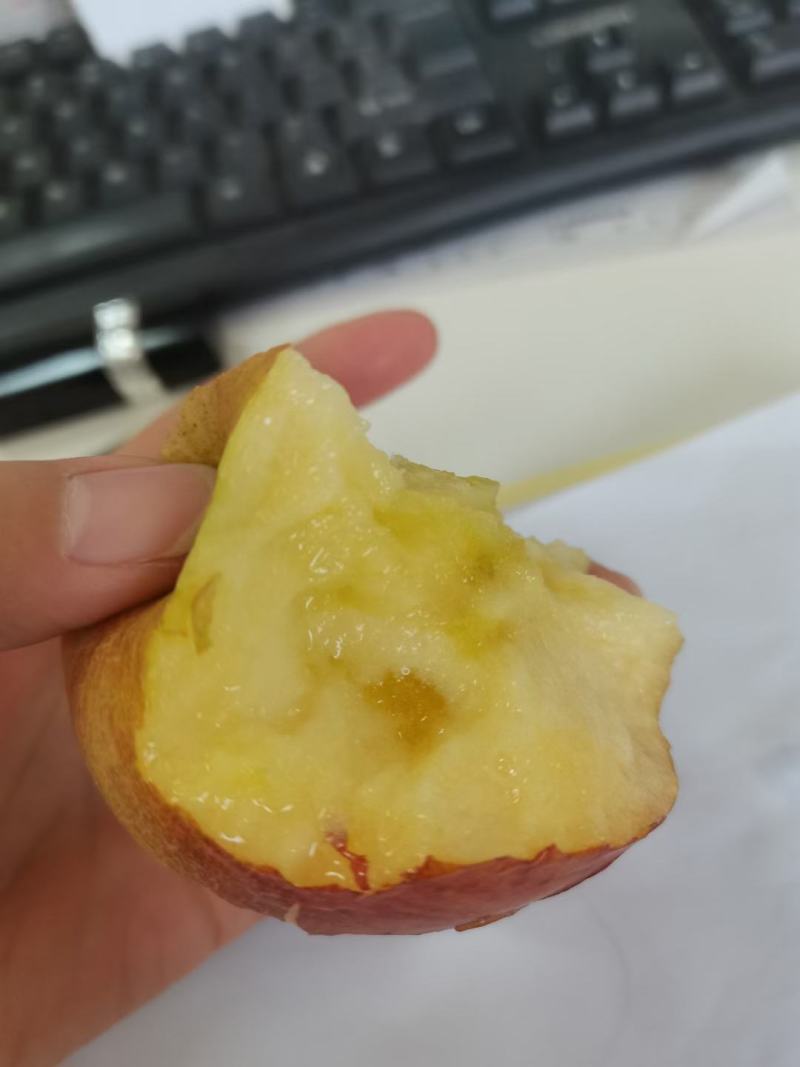 黄心富士