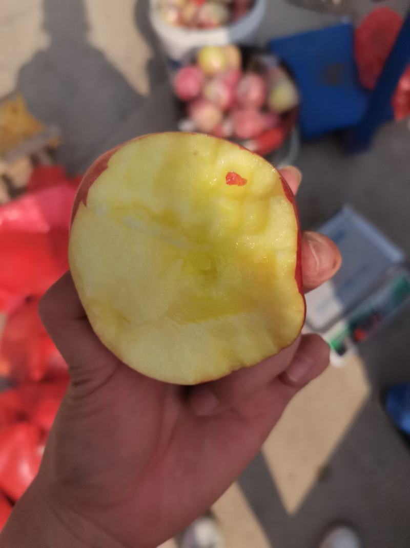 黄心富士