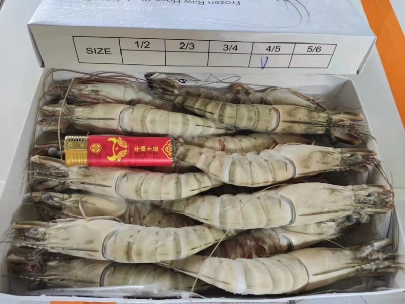 黑虎虾