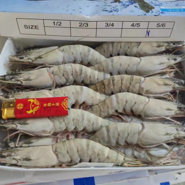 黑虎虾