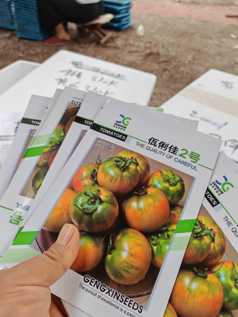 草莓番茄苗，口感脆甜多汁，基地直发