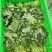 油菜苔，青油菜，长度15厘米以下精品长度20至30厘米。