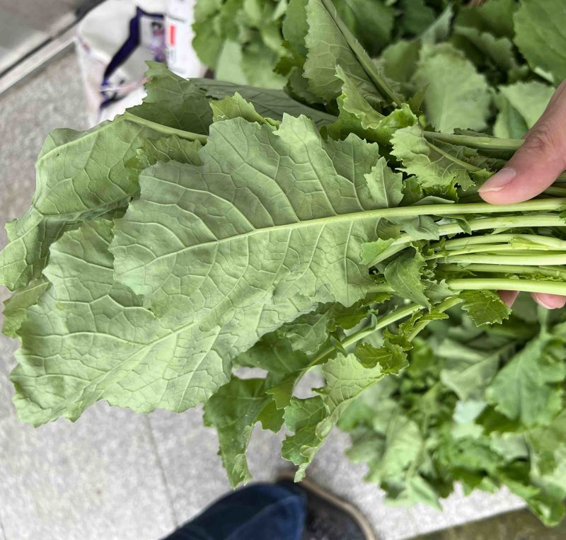 油菜苔，青油菜，长度15厘米以下精品长度20至30厘米。