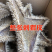 新货优质刺猬皮整张晒干生猬皮售炒刺猬皮刺猬刺