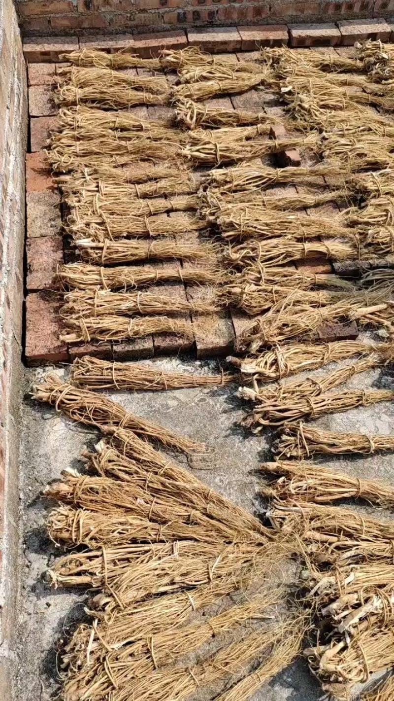 广西原产地直销，石参根扎把，