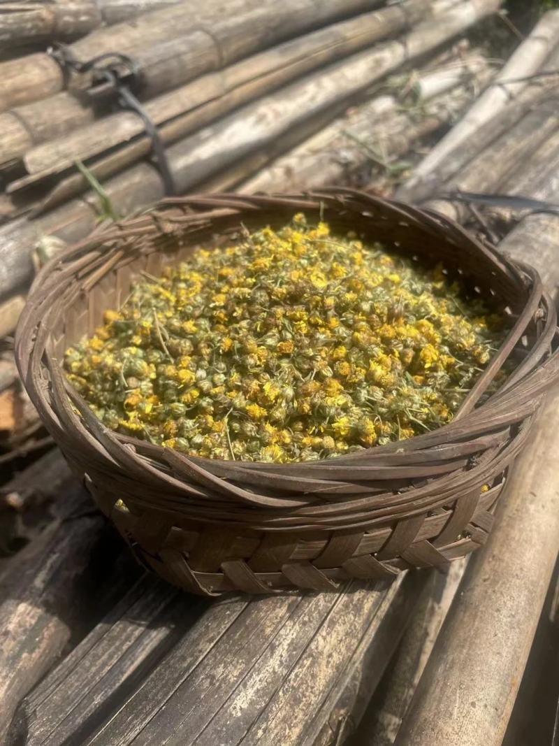 【包邮】野生干菊花胎菊，大量有货品质保证欢迎老板电话联系