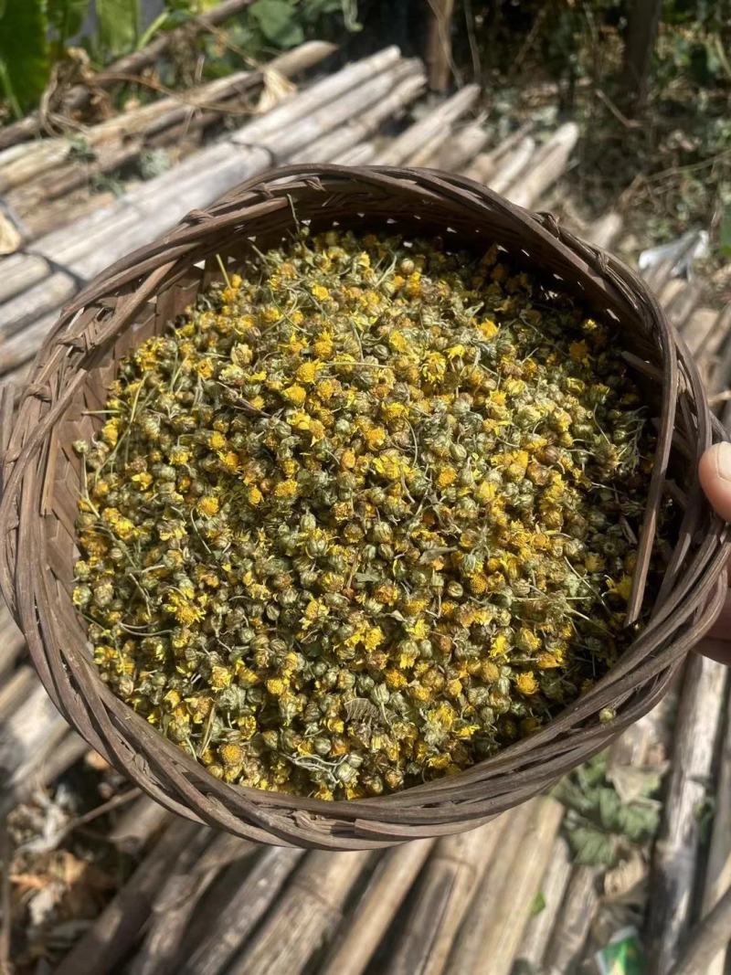 【包邮】野生干菊花胎菊，大量有货品质保证欢迎老板电话联系