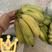 【包邮】小米蕉新鲜小米蕉批发可线上下单长期合作