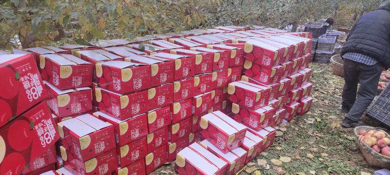阿克苏一级冰糖心包邮一件发货批发零售都可