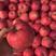 [精选]红富士苹果口感脆甜苹果产地供应对接全国客商