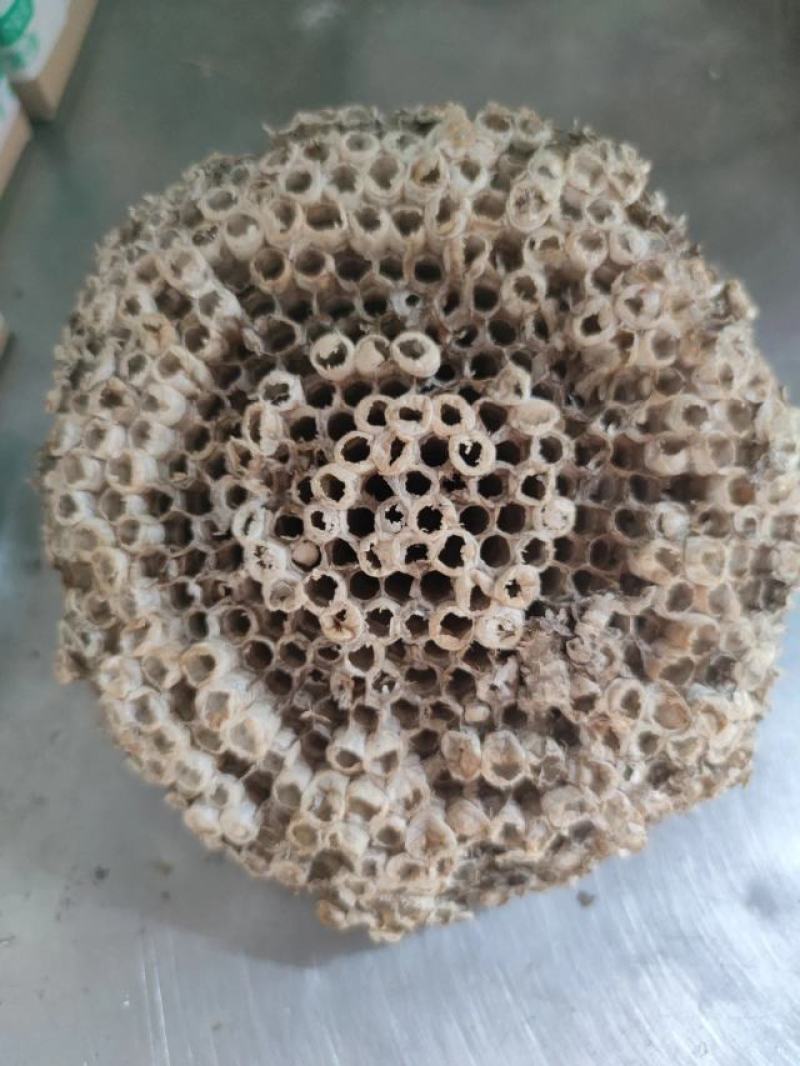蜂房中药材马蜂窝露蜂房批发，可线上下单长期合作