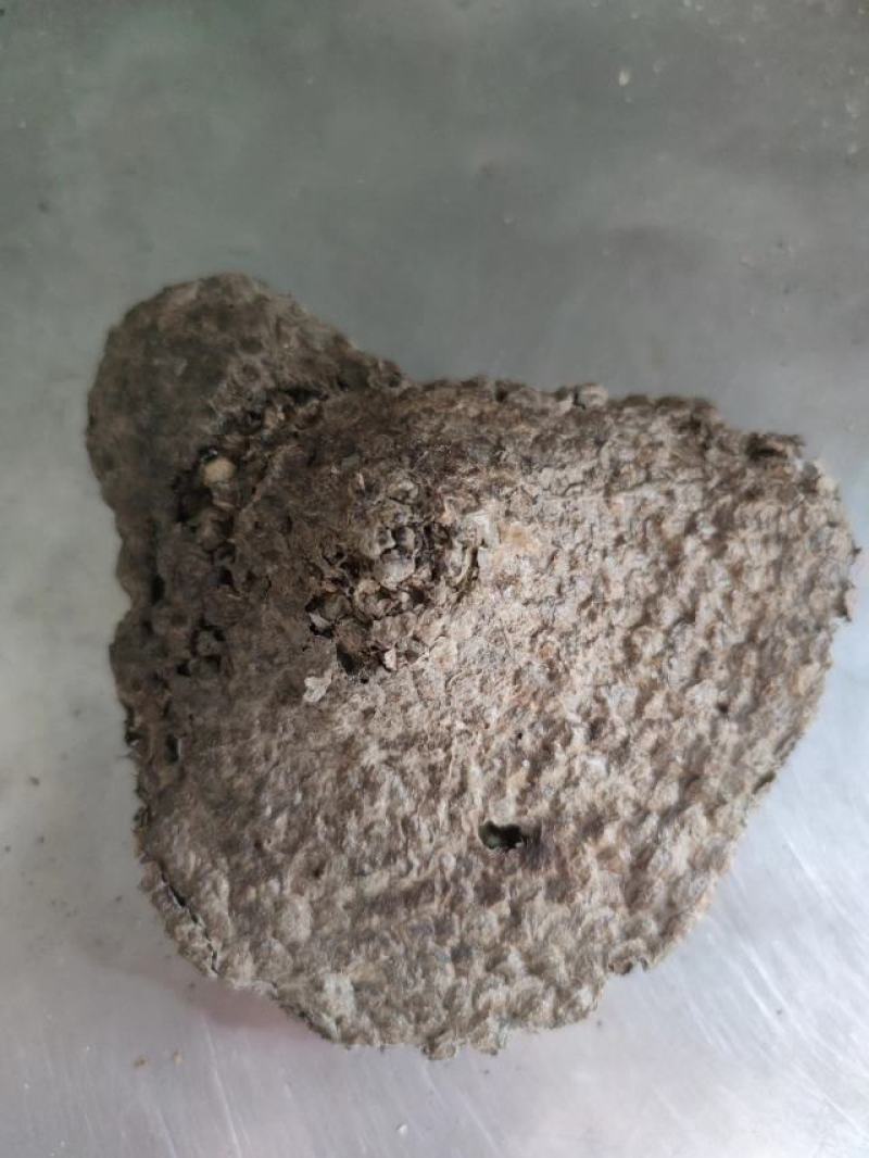 蜂房中药材马蜂窝露蜂房批发，可线上下单长期合作