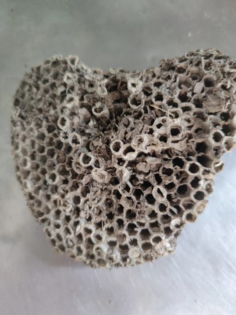 蜂房中药材马蜂窝露蜂房批发，可线上下单长期合作