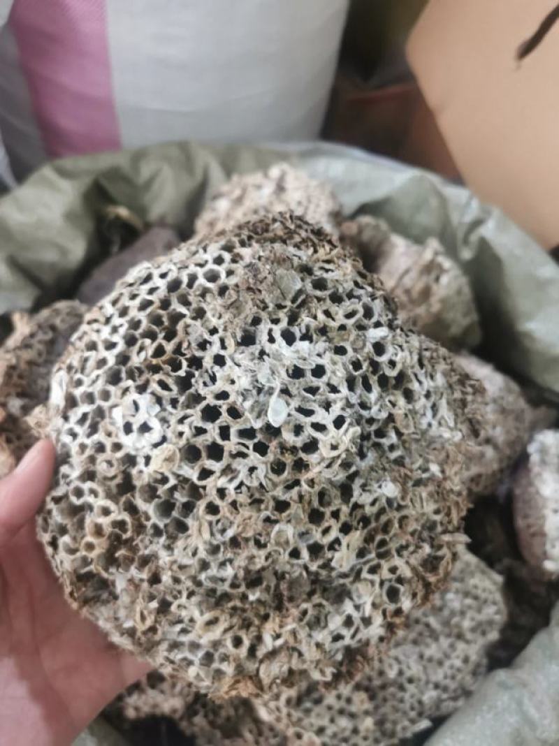 蜂房中药材马蜂窝露蜂房批发，可线上下单长期合作