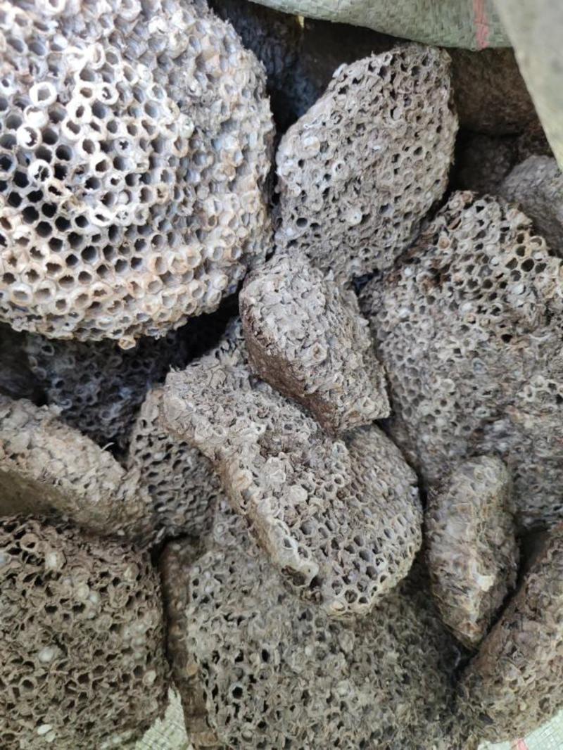 蜂房中药材马蜂窝露蜂房批发，可线上下单长期合作