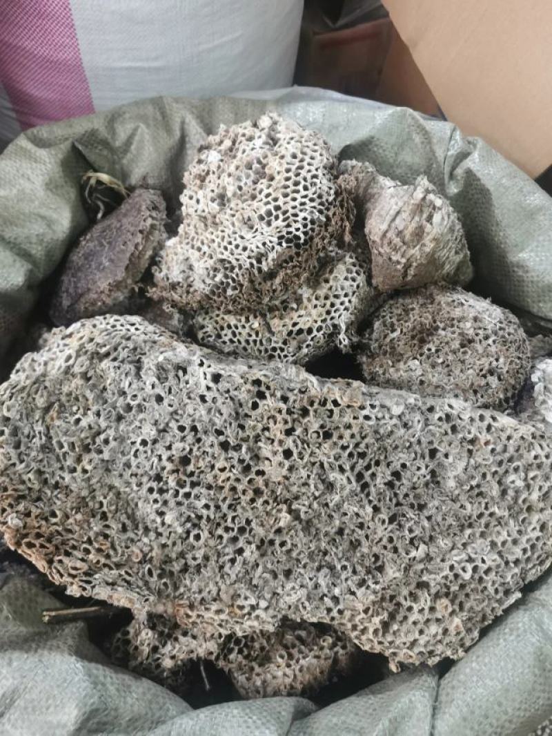蜂房中药材马蜂窝露蜂房批发，可线上下单长期合作