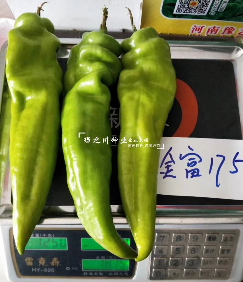 豫艺金富175辣椒种子粗长牛角椒种子黄绿皮尖椒种子特高产
