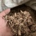 【包邮】宁夏地骨皮中药材诚信经营品质保证欢迎下单订购