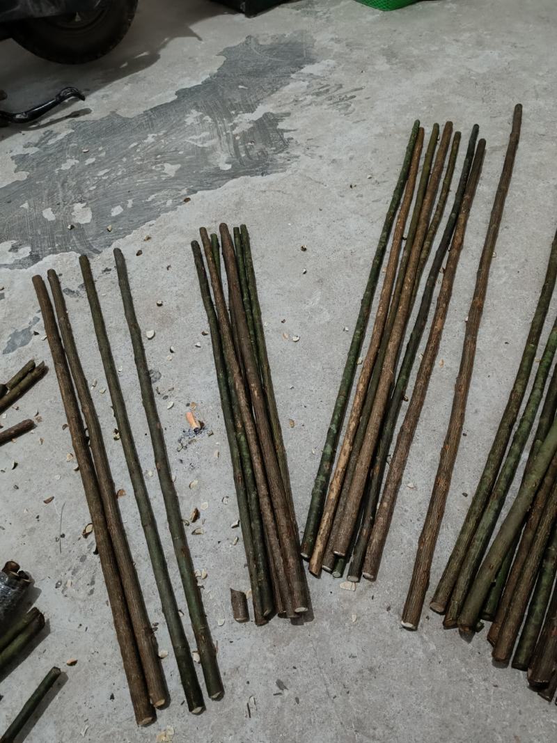 【推荐】金刺梨杆，金刺梨杆子，产地一手货源，对接批发商