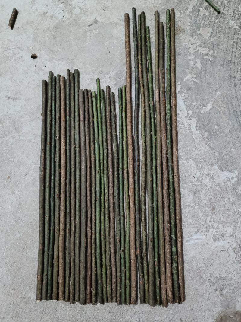 【推荐】金刺梨杆，金刺梨杆子，产地一手货源，对接批发商