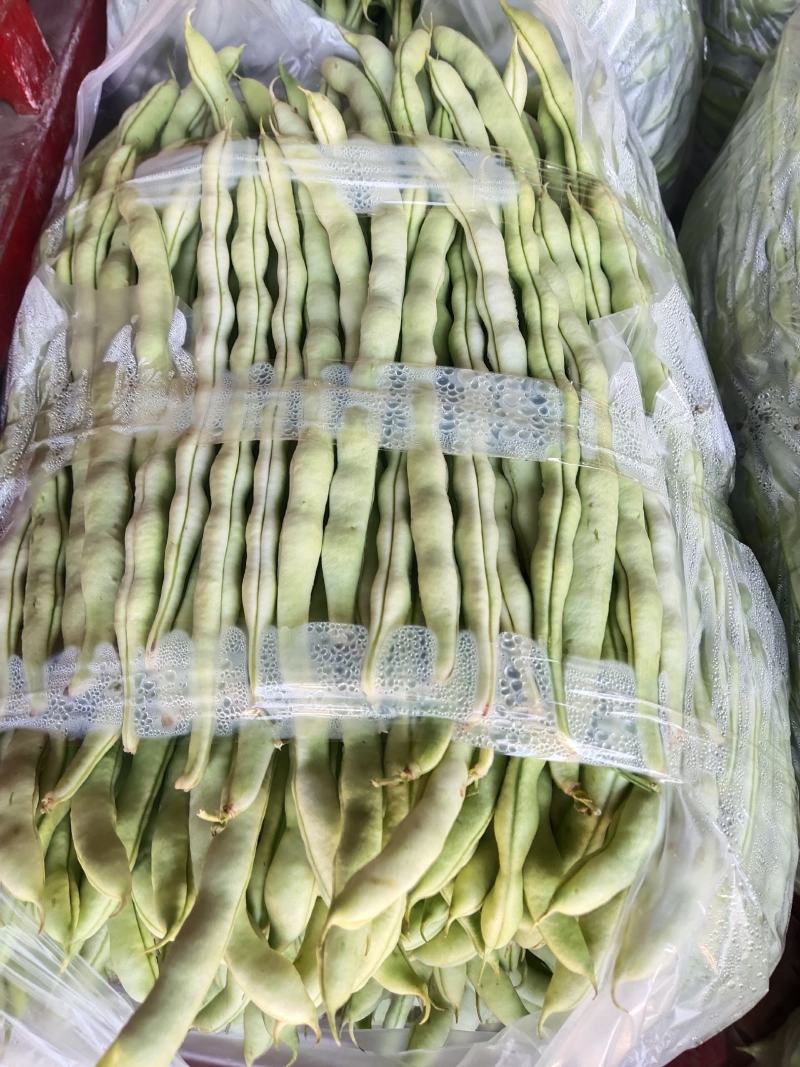 云南精品黄瓜大量上市