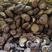 金乡精品干香菇全国可发支持视频看货实地验货