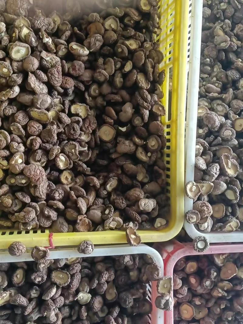 金乡精品干香菇全国可发支持视频看货实地验货