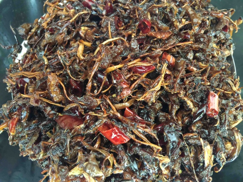 云南特产鸡枞菌油鸡枞产地货源亲自炸大量加工量大从优
