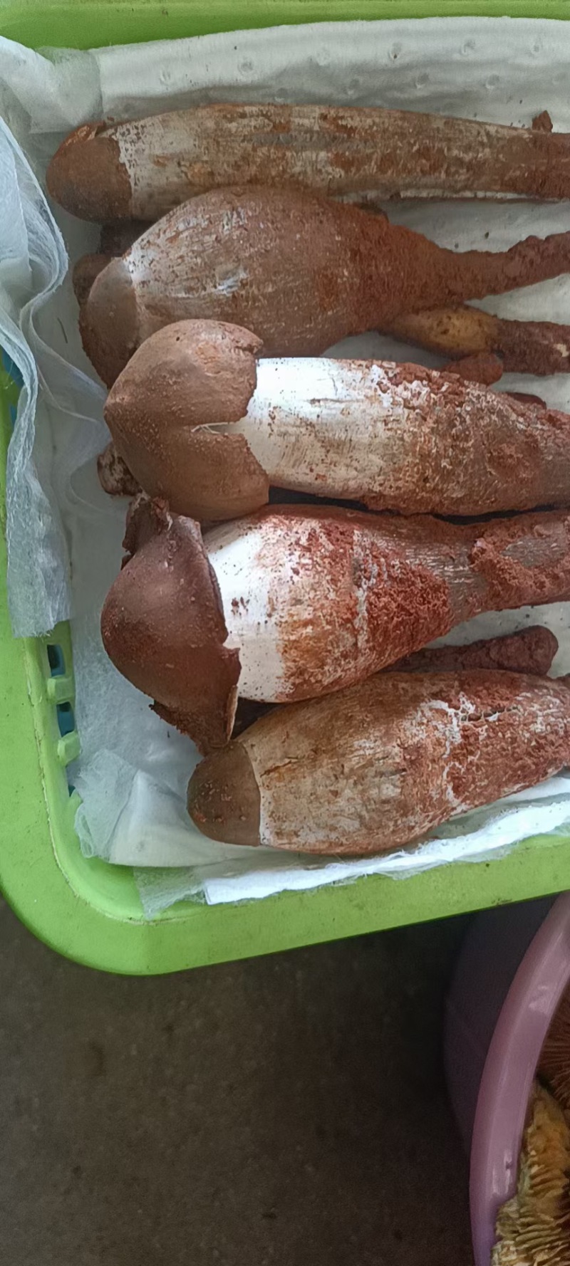 云南特产鸡枞菌油鸡枞产地货源亲自炸大量加工量大从优