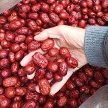大量出售新疆红枣、枣圈、无核枣！量大，质量保证！