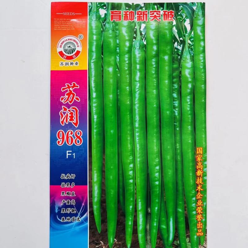 苏润968线椒种子，青皮软皮一代杂交品种