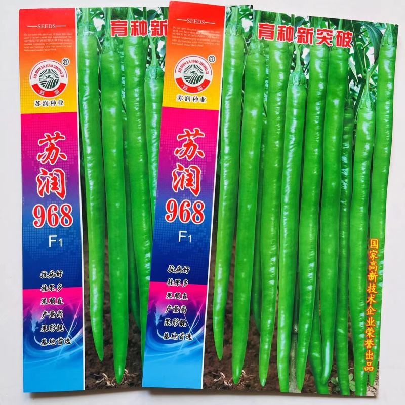 苏润968线椒种子，青皮软皮一代杂交品种