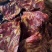 便宜五花腊肉，三角腊排，精品寸排，常年现货