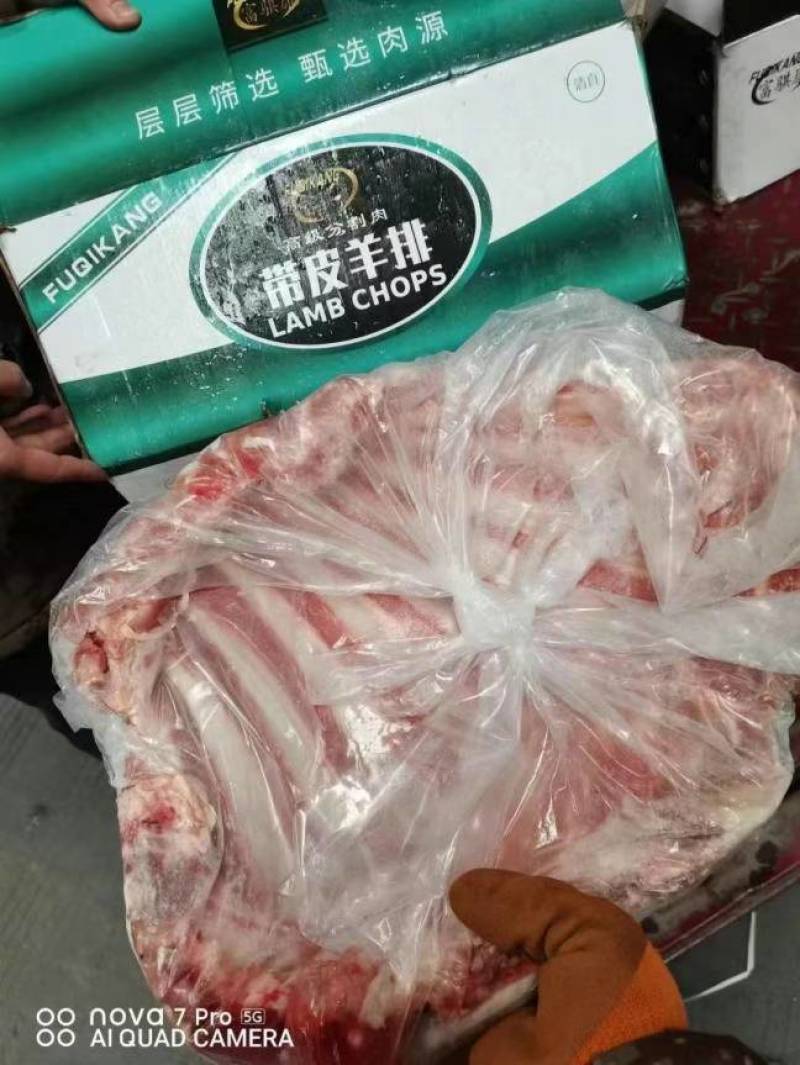 羊排大量有货