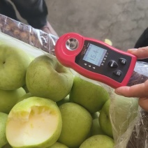 王林苹果白蜡纸袋的，冷库货，清脆可口。需要的联系我