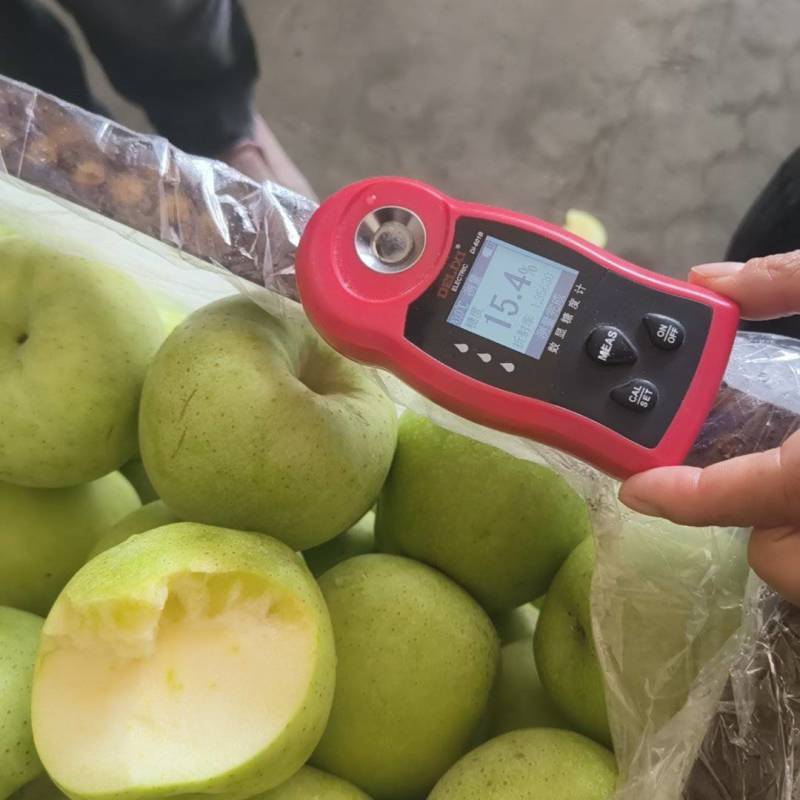 王林苹果白蜡纸袋的，冷库货，清脆可口。需要的联系我
