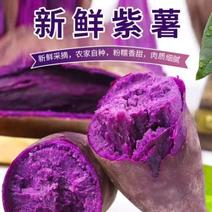 精品贵州紫薯大量上市中产地一手货源直发品质保证