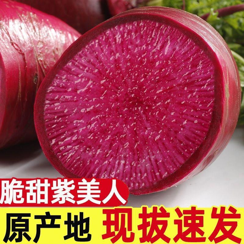 脆甜多汁爽口的紫美人(凤梨）萝卜富含大量花青素