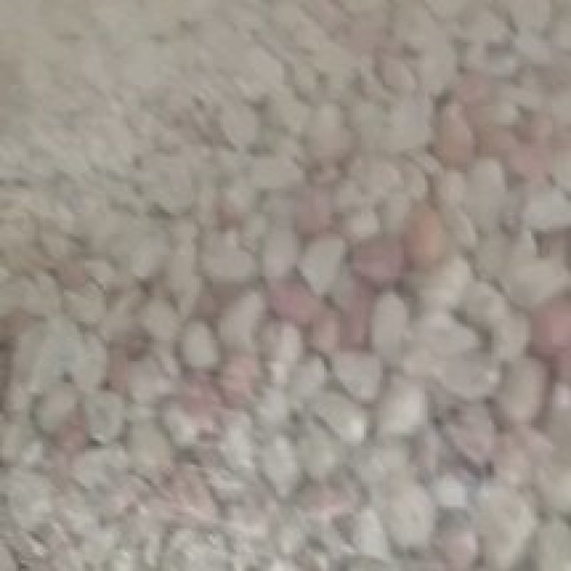 白沙大瓣出油杠杠的