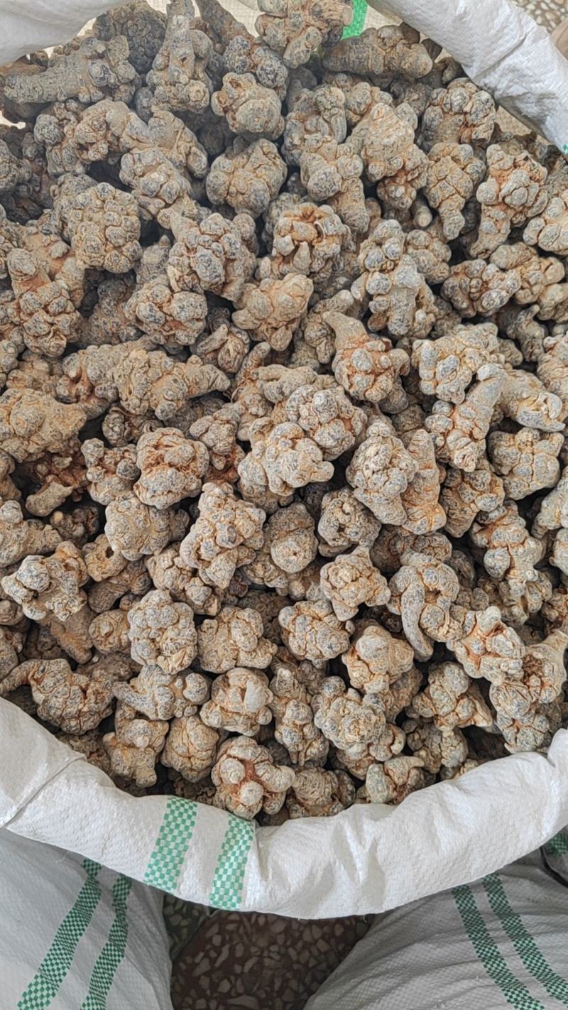 三七干货三七个子选货水洗欢迎选购！