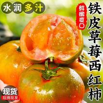 西红柿草莓西红柿寿光精品草莓西红柿口感西红柿