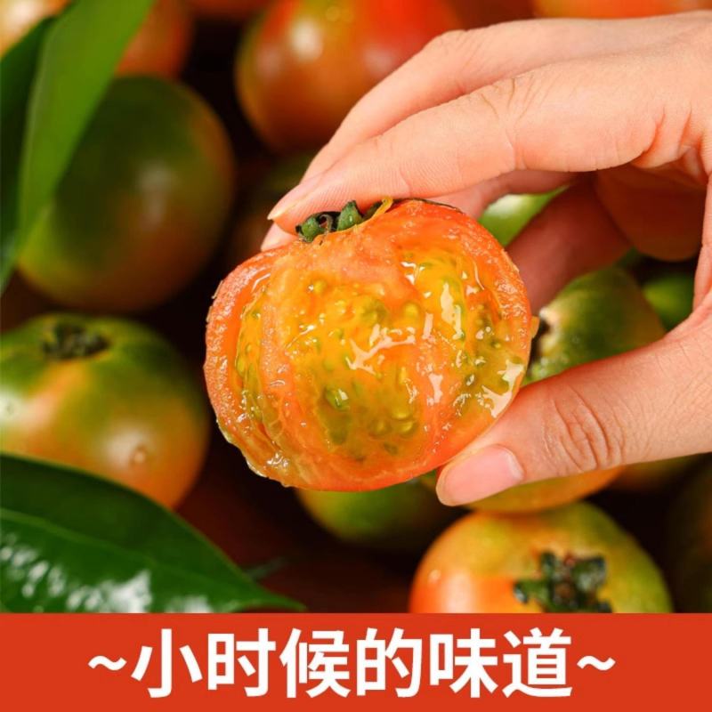 西红柿草莓西红柿寿光精品草莓西红柿口感西红柿