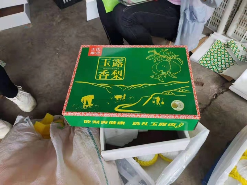 玉露香梨陕西玉露香梨产地直发一手货源，可视频看货