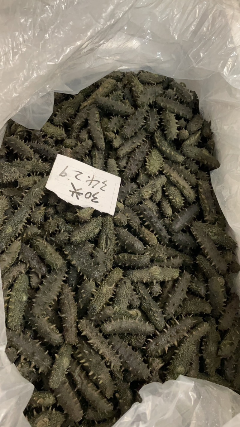 [标题]大连半干海参品质拉缸盐海参辽参高品质海刺参