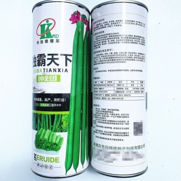 独霸天下小金豆四季豆肉厚春秋种子正品非转基因